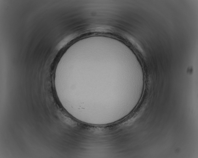 X0000089440970200707131902