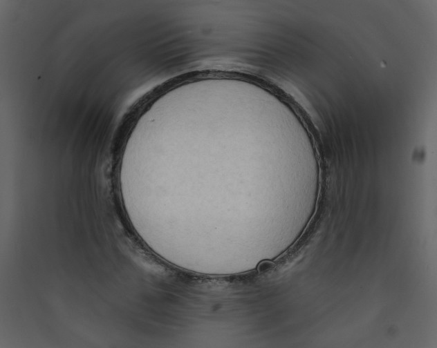 X0000089440971200707131902
