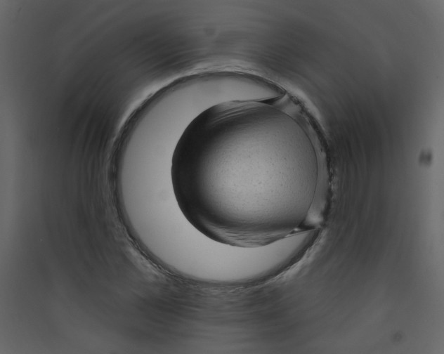 X0000089440973200707131902