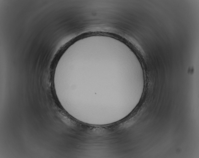 X0000089440974200707131902