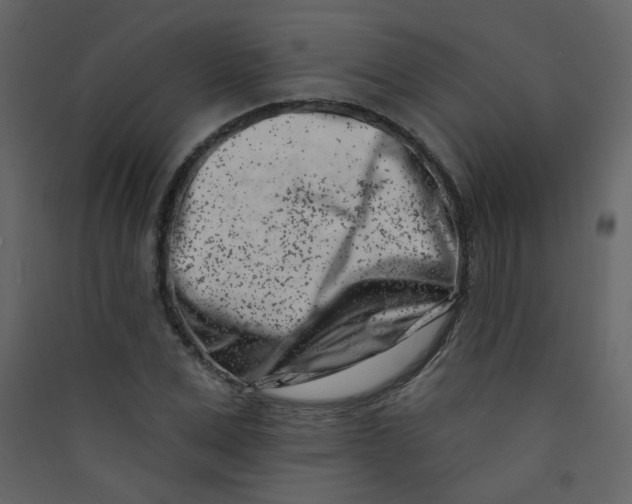 X0000089440975200707131902