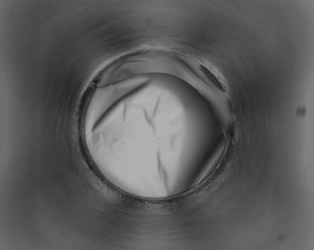 X0000089440976200707131902