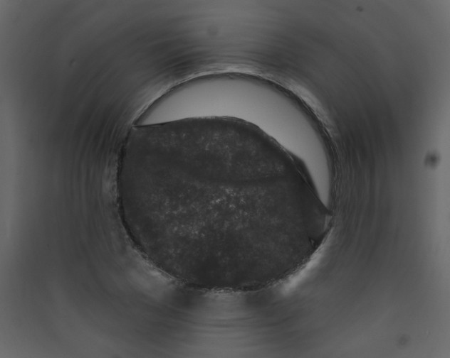 X0000089440977200707131902