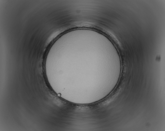 X0000089440978200707131902