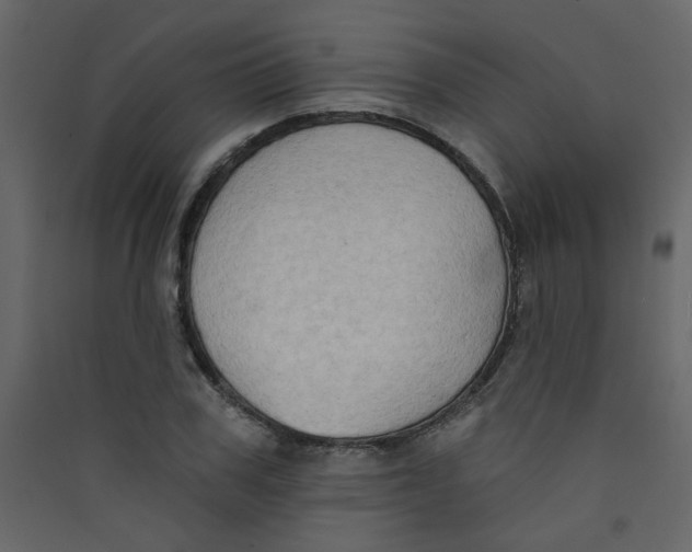 X0000089440979200707131902