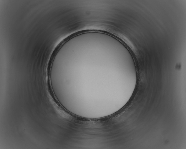 X0000089440980200707131902