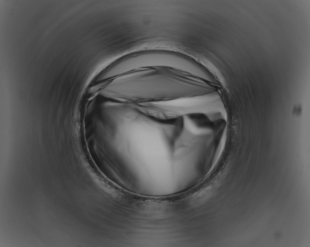 X0000089440981200707131902