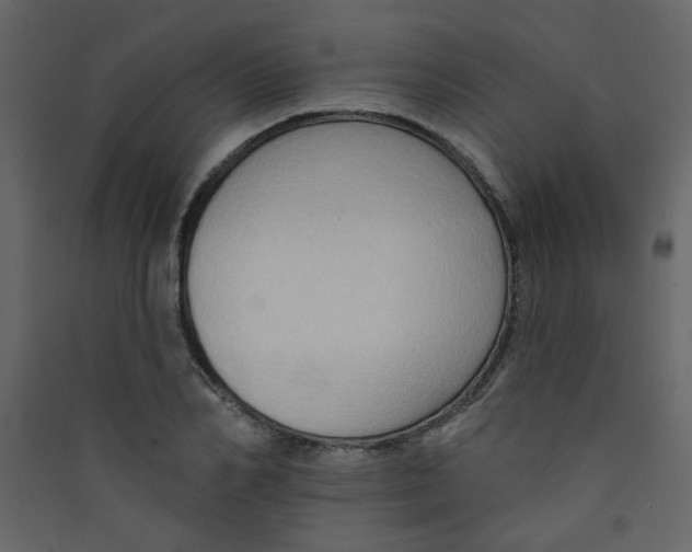 X0000089440982200707131902