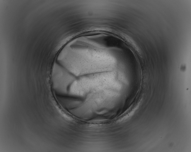 X0000089440985200707131902