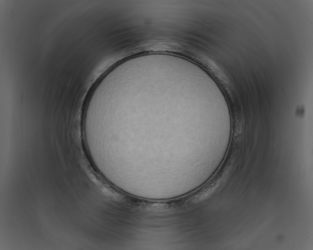 X0000089440986200707131902