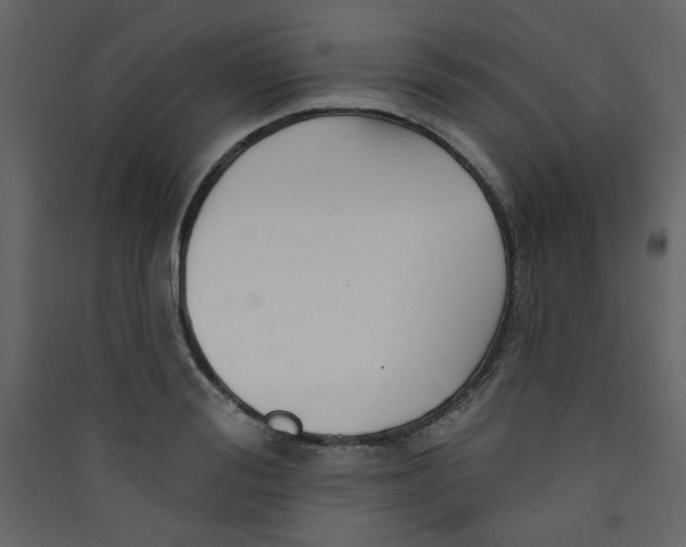 X0000089440988200707131902