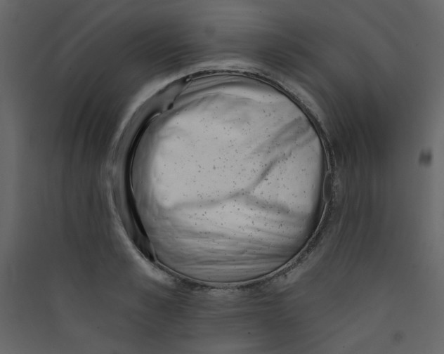 X0000089440989200707131902