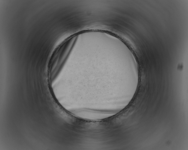 X0000089440990200707131902