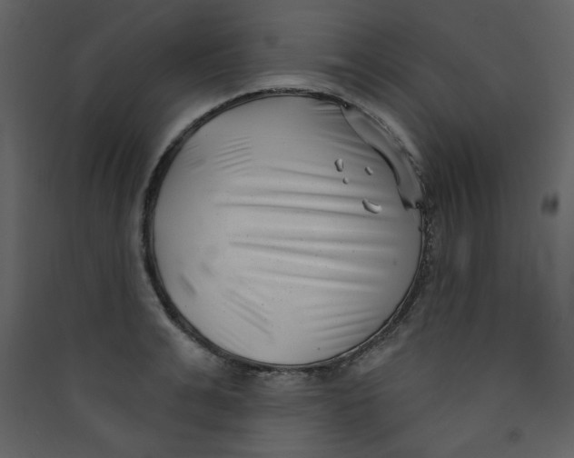 X0000089440991200707131902