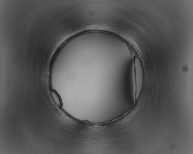 X0000089440992200707131902