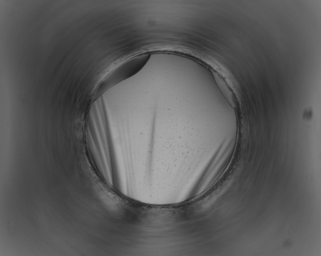 X0000089440993200707131902