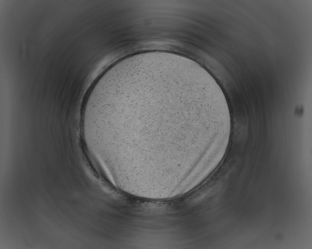 X0000089440994200707131902