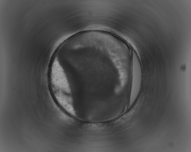 X0000089440995200707131902