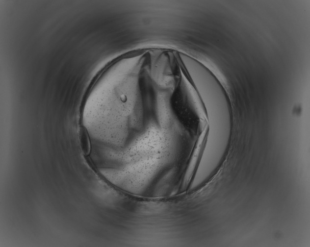 X0000089440996200707131902