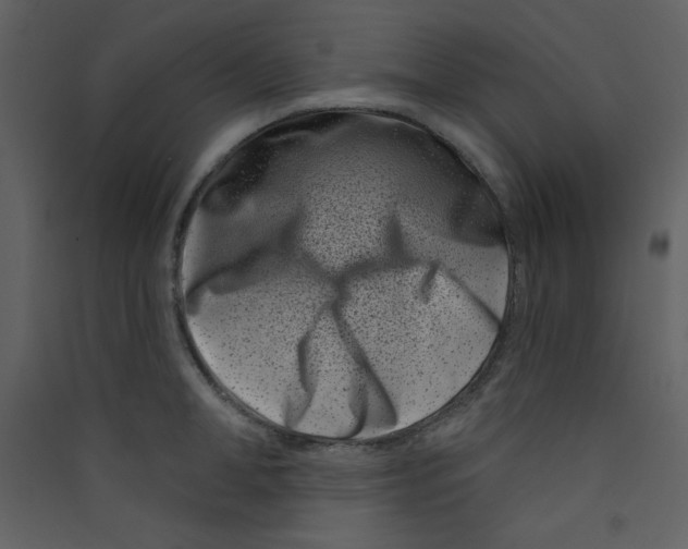 X0000089440998200707131902