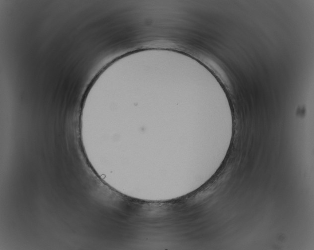 X0000089441000200707131902