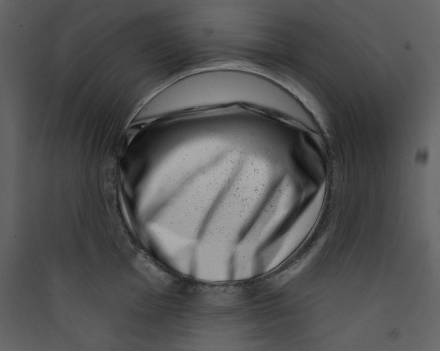 X0000089441001200707131902