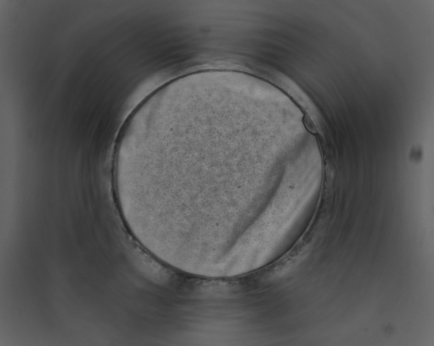 X0000089441002200707131902