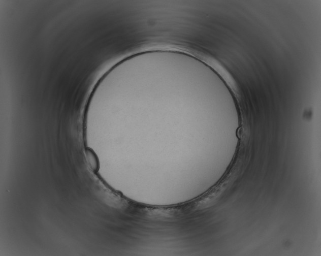 X0000089441004200707131902