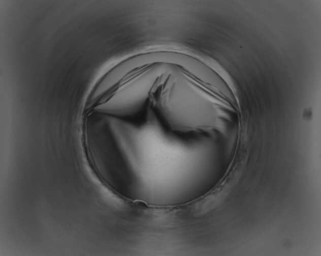 X0000089441005200707131902