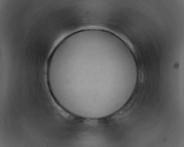 X0000089441006200707131902