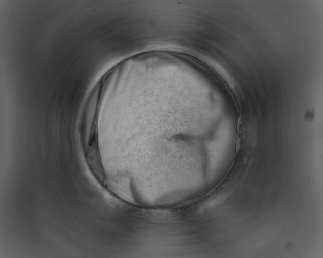 X0000089441007200707131902