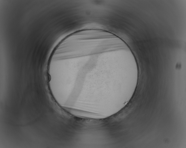 X0000089441008200707131902