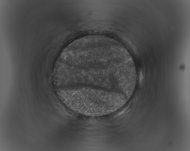 X0000089441009200707131901