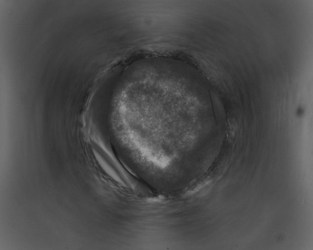 X0000089441010200707131901