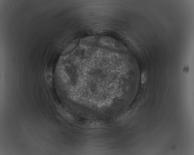 X0000089441011200707131901