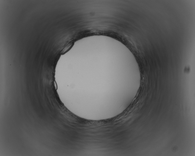 X0000089441012200707131901