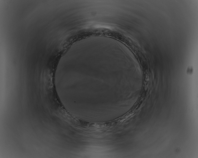 X0000089441013200707131901