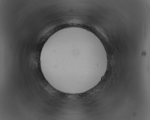 X0000089441015200707131901