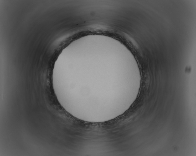 X0000089441016200707131901
