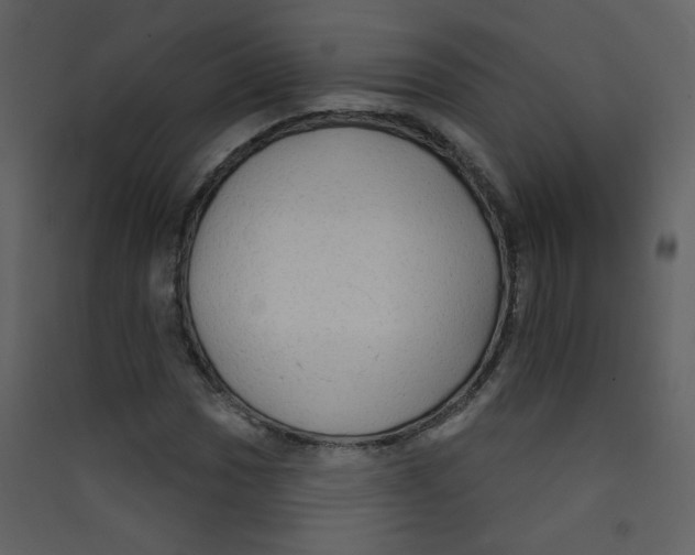 X0000089441017200707131901