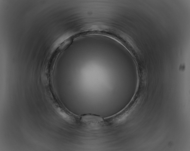 X0000089441018200707131901