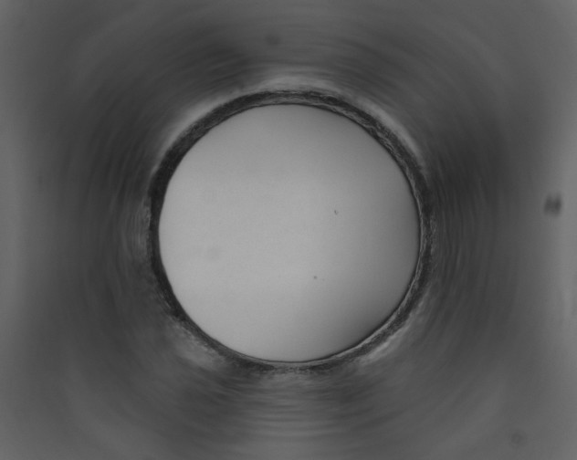 X0000089441021200707131901