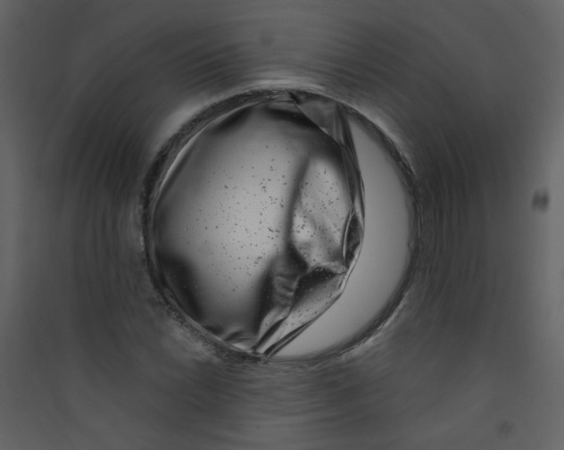 X0000089441022200707131901