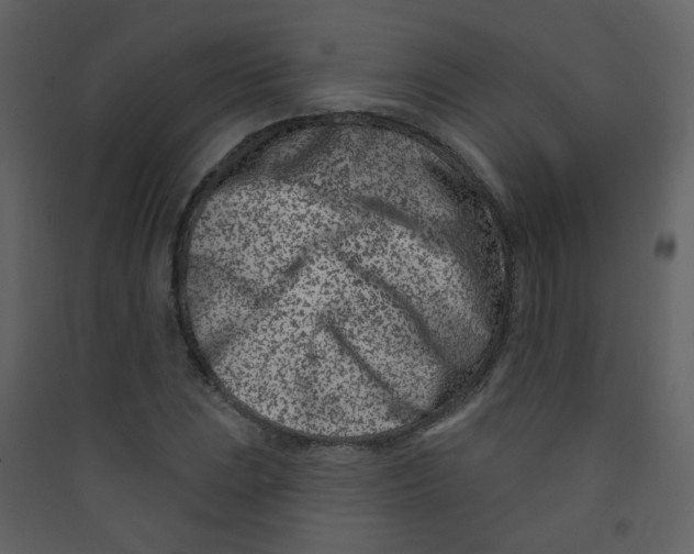 X0000089441023200707131901