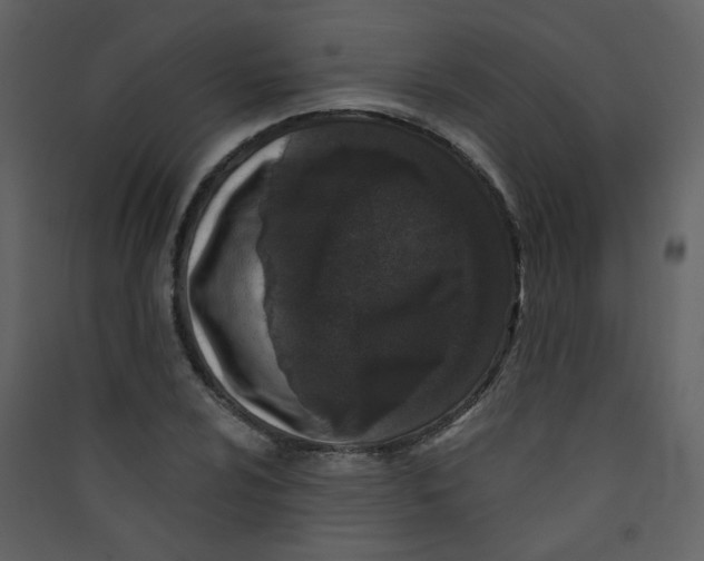 X0000089441024200707131901