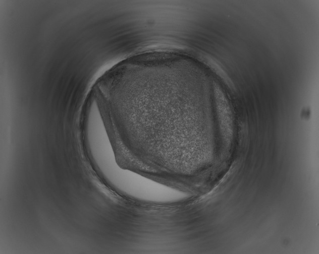 X0000089441026200707131901