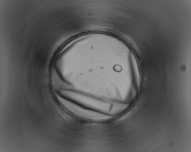 X0000089441027200707131901