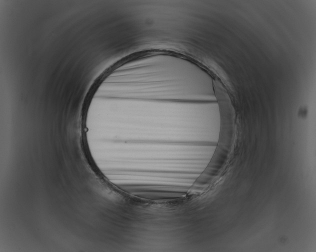 X0000089441028200707131901