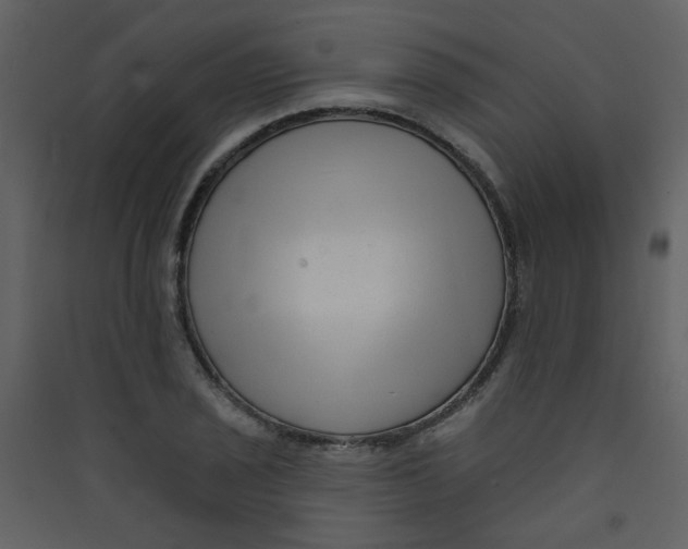 X0000089441029200707131901