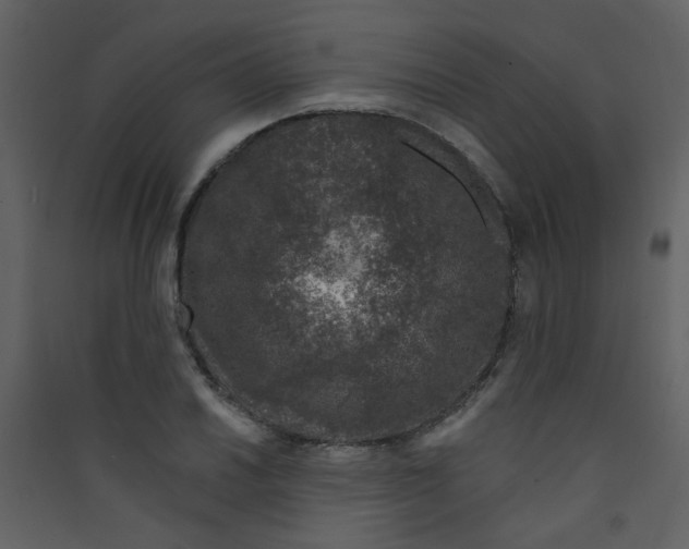 X0000089441030200707131901